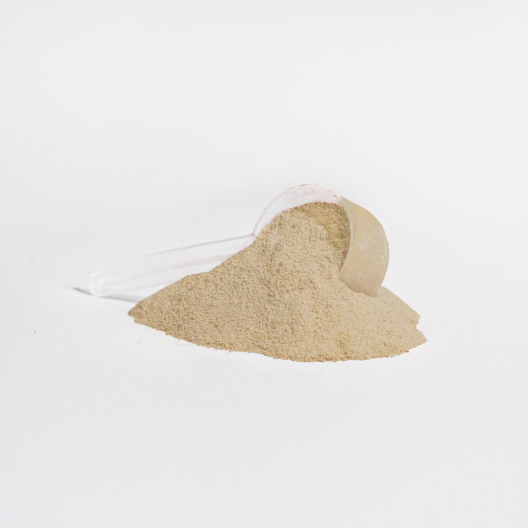 The American Whey - Whey Protein Powder (Salty Caramel)